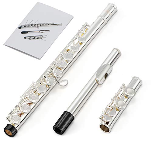 お値打ち！【未使用品】Enhong フルート 2025年最新】Enhong フルート 16穴の人気アイテム - メルカリ